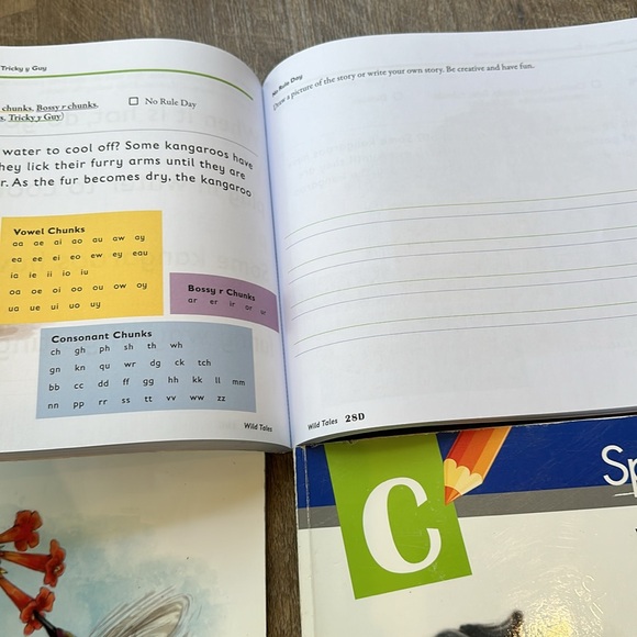 Spelling u see level c - Picture 4 of 4